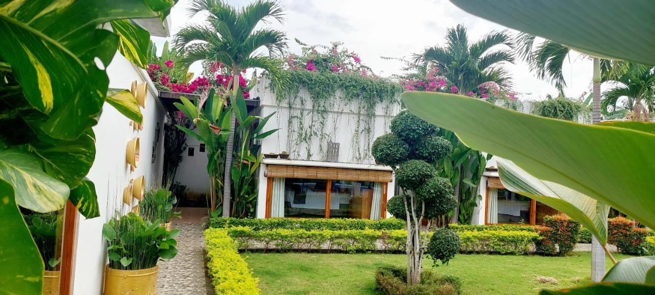Bed and Breakfast The Edicha Lovina Esterno foto