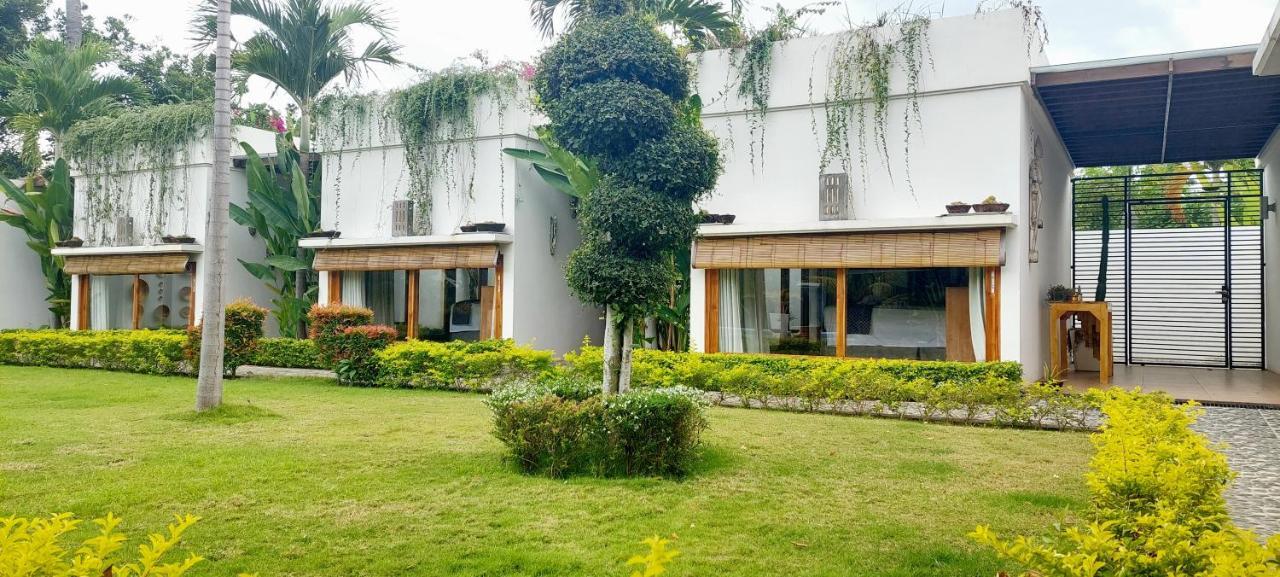 Bed and Breakfast The Edicha Lovina Esterno foto